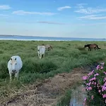 Camping Zecamping 2 Etoiles Avec Animaux Acceptes Piscine A 4km De La 2*