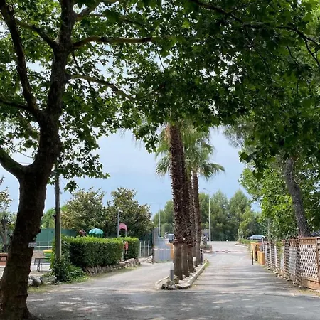 Zecamping 2 Etoiles Avec Animaux Acceptes Piscine A 4km De La 营地 马格隆新城
